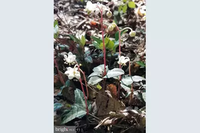 1185 Belle Meade Rd, Bumpass, VA 23024 - Photo 75