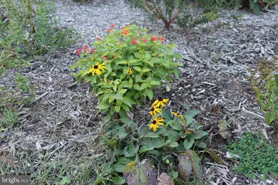 1185 Belle Meade Rd, Bumpass, VA 23024 - Photo 83