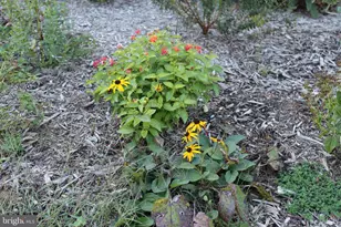 1185 Belle Meade Rd, Bumpass, VA 23024 - Photo 83