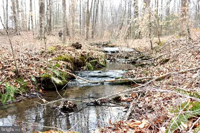 1185 Belle Meade Rd, Bumpass, VA 23024 - Photo 93