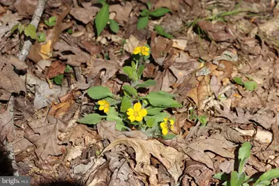 1185 Belle Meade Rd, Bumpass, VA 23024 - Photo 99