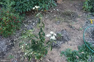 1185 Belle Meade Rd, Bumpass, VA 23024 - Photo 81