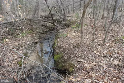 1185 Belle Meade Rd, Bumpass, VA 23024 - Photo 89