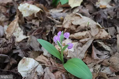 1185 Belle Meade Rd, Bumpass, VA 23024 - Photo 105