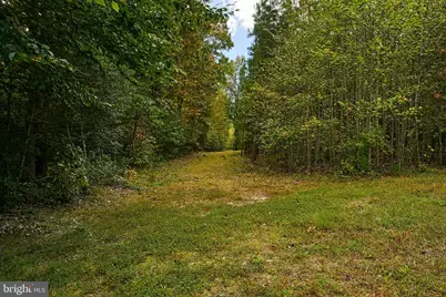 Cross Country Rd., Mineral, VA 23117 - Photo 9