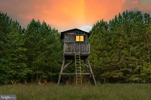 Cross Country Rd, Mineral, VA 23117 - Photo 1