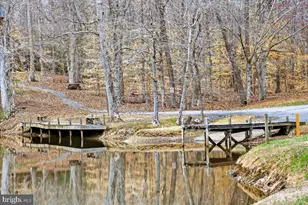 260 Deerfield Pl, Mineral, VA 23117 - Photo 105