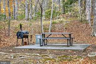 260 Deerfield Pl, Mineral, VA 23117 - Photo 107