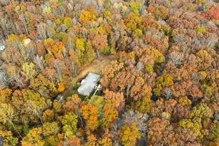 323 Turkey Trail, Mineral, VA 23117 - Photo 77