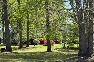 778 Overton Dr, Mineral, VA 23117 - Photo 73