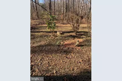 203 Nottingham Road, Louisa, VA 23093 - Photo 55