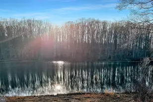 225 Raven Rd, Bumpass, VA 23024 - Photo 45