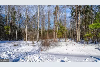 Lot 166 Travellers, Mineral, VA 23117 - Photo 63