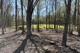 11543 Cross County Rd, Mineral, VA 23117 - Photo 81