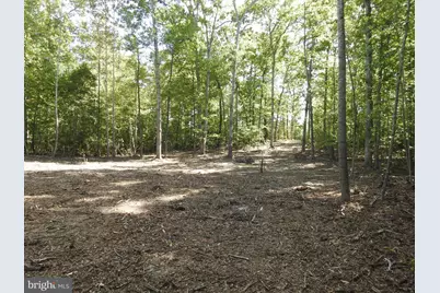 465 Equestrian Landing Trail, Bumpass, VA 23024 - Photo 17