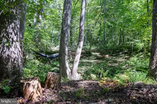 887 Hickory Creek Rd, Louisa, VA 23093 - Photo 41