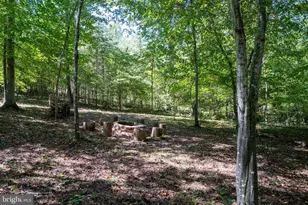 887 Hickory Creek Rd, Louisa, VA 23093 - Photo 39