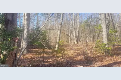 Shelton Lane, Mineral, VA 23117 - Photo 3