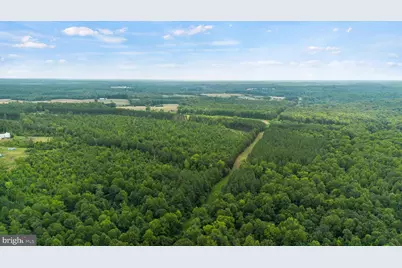 362 Dell Perkins Road, Louisa, VA 23093 - Photo 19