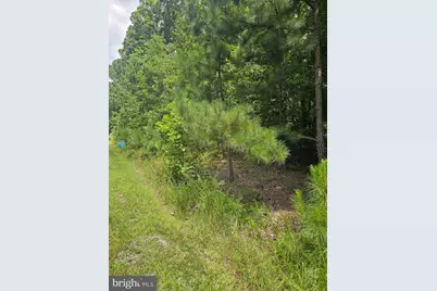 Traveller, Lot 171 Street, Mineral, VA 23117 - Photo 7