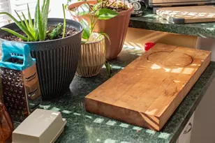 1659 S Lakeshore Dr, Louisa, VA 23093 - Photo 29