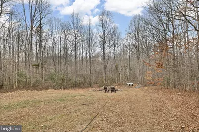 278 Rising Sun Road, Mineral, VA 23117 - Photo 39