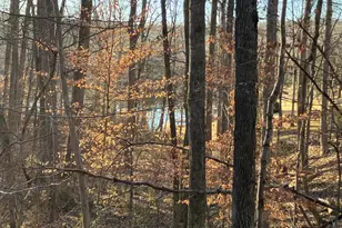 Lots 1223 & 1224 N Lakeshore Dr, Louisa, VA 23093 - Photo 1