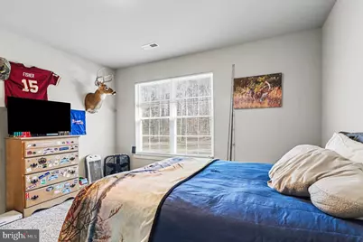 379 Moon Shadow Ln, Louisa, VA 23093 - Photo 19