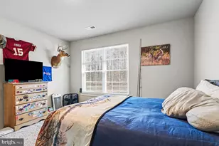 379 Moon Shadow Ln, Louisa, VA 23093 - Photo 19