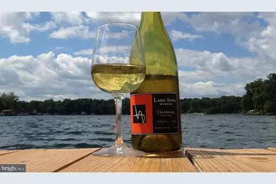 315 Erin Lane, Mineral, VA 23117 - Photo 5