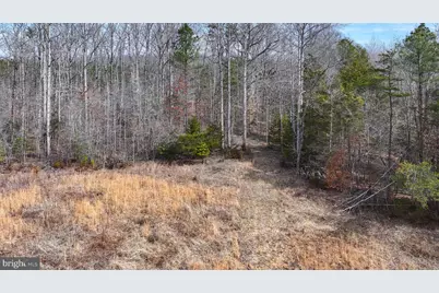 28.13 Acres Cross Country Rd, Mineral, VA 23117 - Photo 5