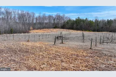 28.13 Acres Cross Country Rd, Mineral, VA 23117 - Photo 11