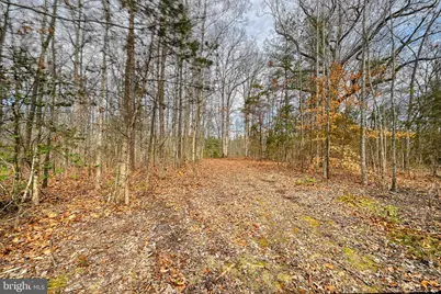 28.13 Acres Cross Country Rd, Mineral, VA 23117 - Photo 23