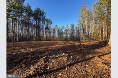 541 Equestrian Landing Trail, Bumpass, VA 23024 - Photo 5