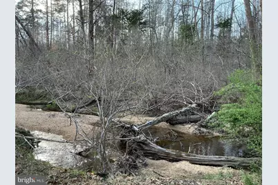 2203 Campbell Road, Keswick, VA 22947 - Photo 45