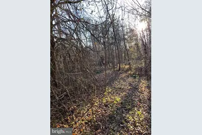 2263 Buckner Road, Bumpass, VA 23024 - Photo 5