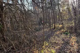 2263 Buckner Rd, Bumpass, VA 23024 - Photo 5