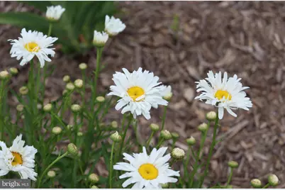 1185 Belle Meade Rd, Bumpass, VA 23024 - Photo 113