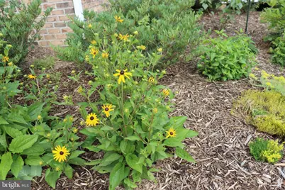 1185 Belle Meade Rd, Bumpass, VA 23024 - Photo 77