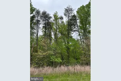 Lot 11 Plum Tree Circle, Bumpass, VA 23024 - Photo 9