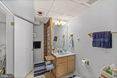 292 Bear Castle Drive, Bumpass, VA 23024 - Photo 57