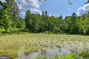 200 Seclusion Shores Dr, Mineral, VA 23117 - Photo 9