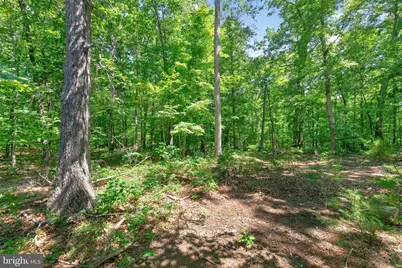 496 Bowlers Mill Run, Gordonsville, VA 22942 - Photo 41