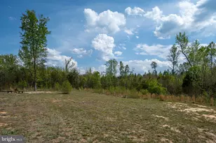 564 Equestrian Landing Trail, Bumpass, VA 23024 - Photo 43