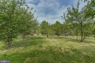 516 Apple Grove Rd, Mineral, VA 23117 - Photo 83