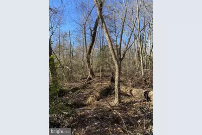 Firehouse Drive, Louisa, VA 23093 - Photo 11