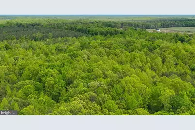 14584 Cross County Road, Mineral, VA 23117 - Photo 59