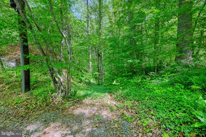 14584 Cross County Road, Mineral, VA 23117 - Photo 47