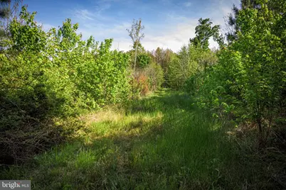 0 Harts Mill Road, Mineral, VA 23117 - Photo 31