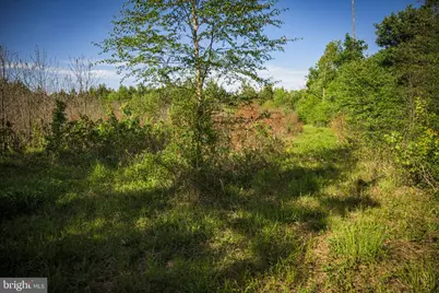 0 Harts Mill Road, Mineral, VA 23117 - Photo 27